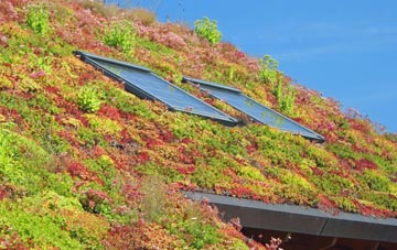 Wool living roof systems